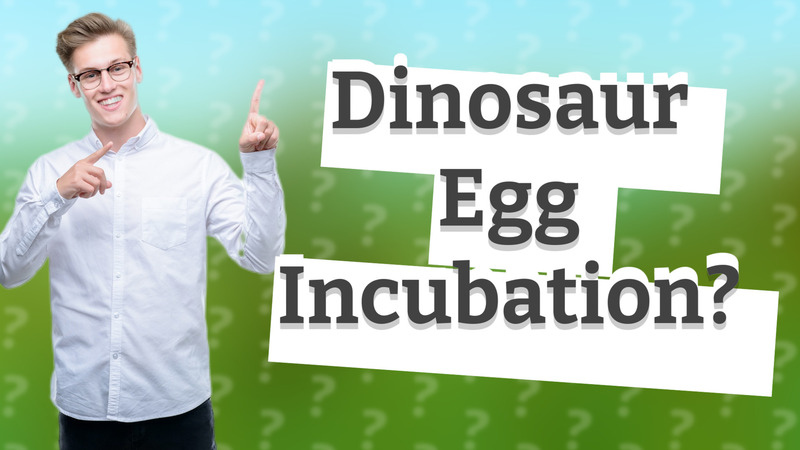 Dinosaur Egg Incubation?