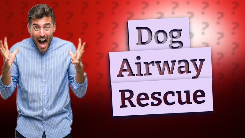 Dog Airway Rescue