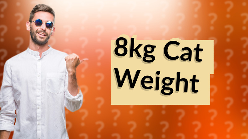 8kg Cat Weight