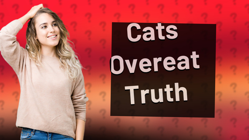 Cats Overeat Truth