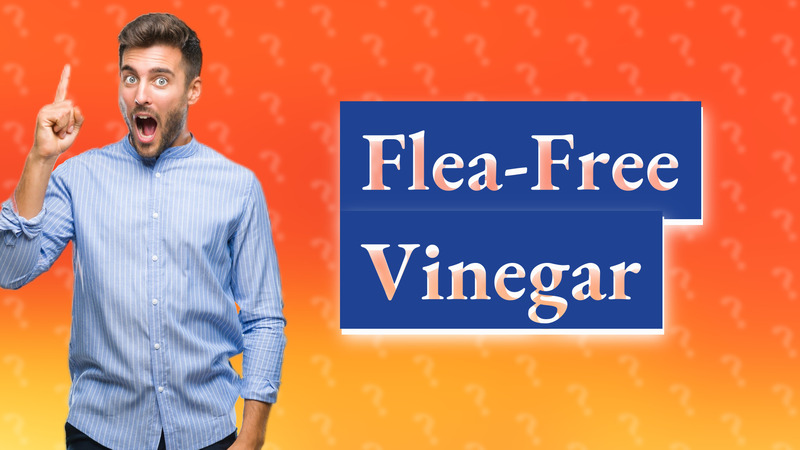 Flea-Free Vinegar