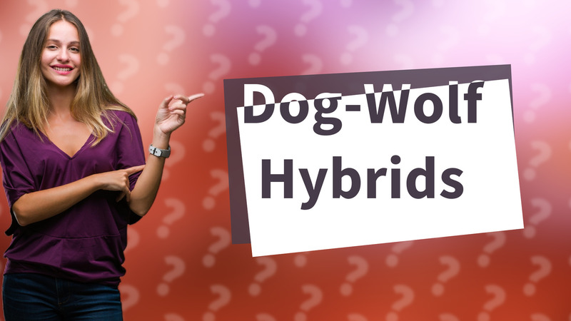 Dog-Wolf Hybrids