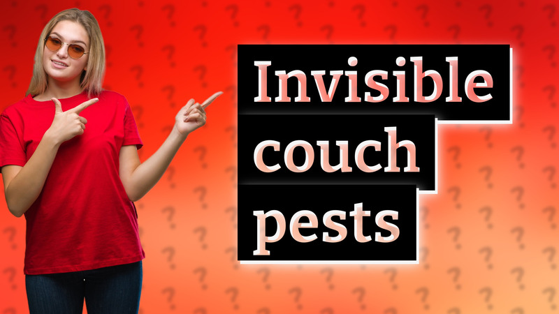 Invisible couch pests