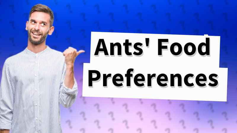 Ants' Food Preferences