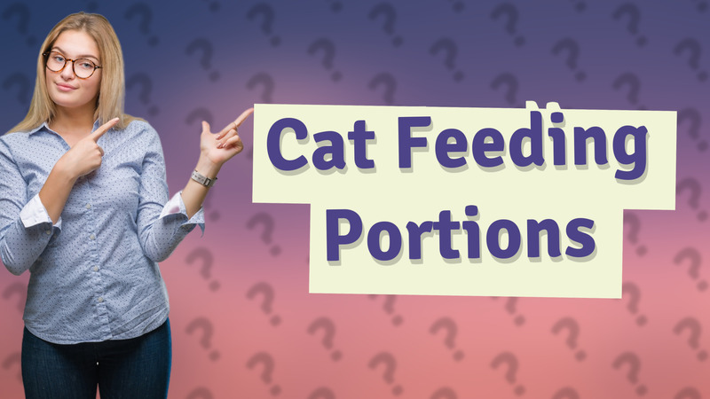 Cat Feeding Portions