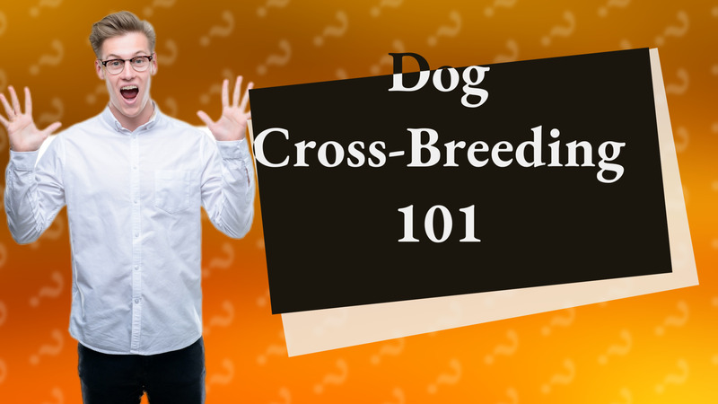 Dog Cross-Breeding 101
