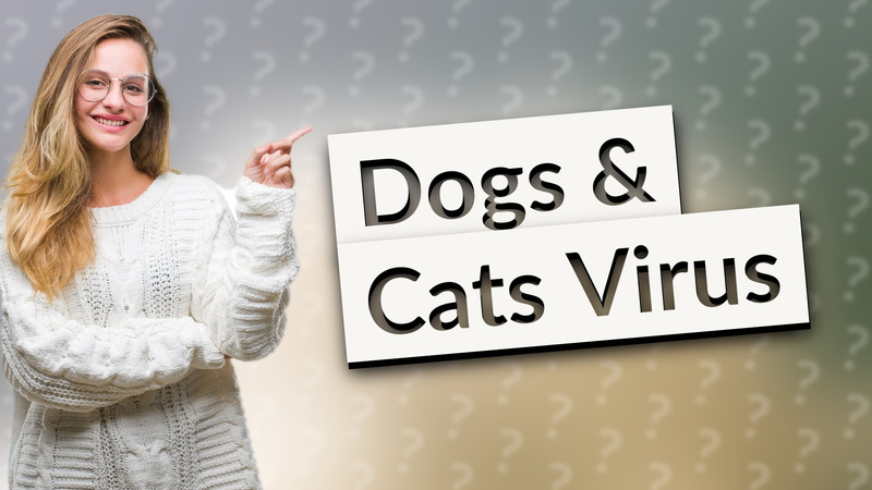 Dogs & Cats Virus