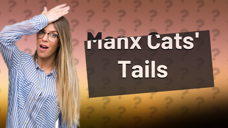 Manx Cats' Tails