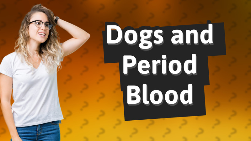 Dogs and Period Blood