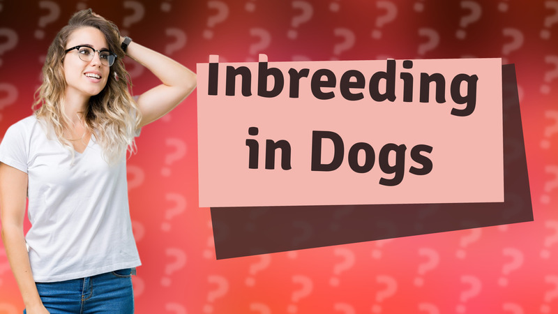 Inbreeding in Dogs
