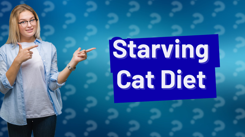Starving Cat Diet