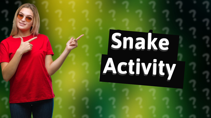 Snake Activity