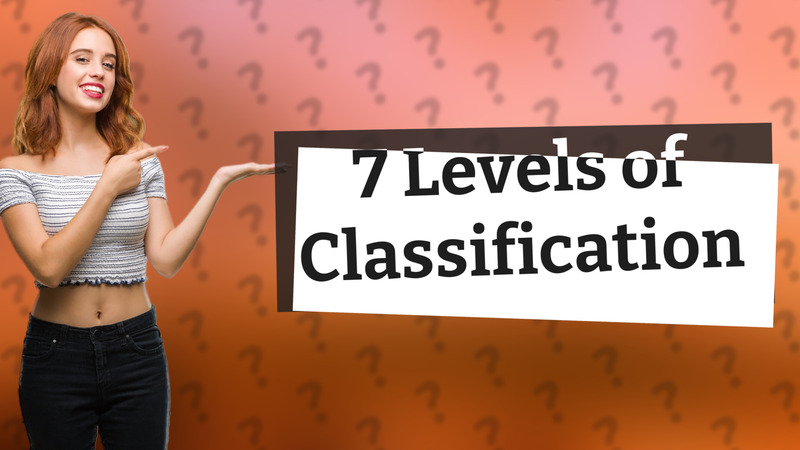7 Levels of Classification