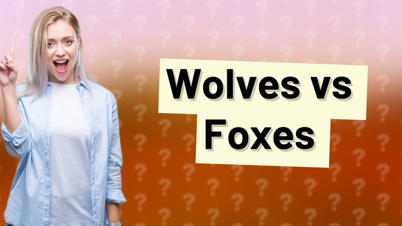 Wolves vs Foxes