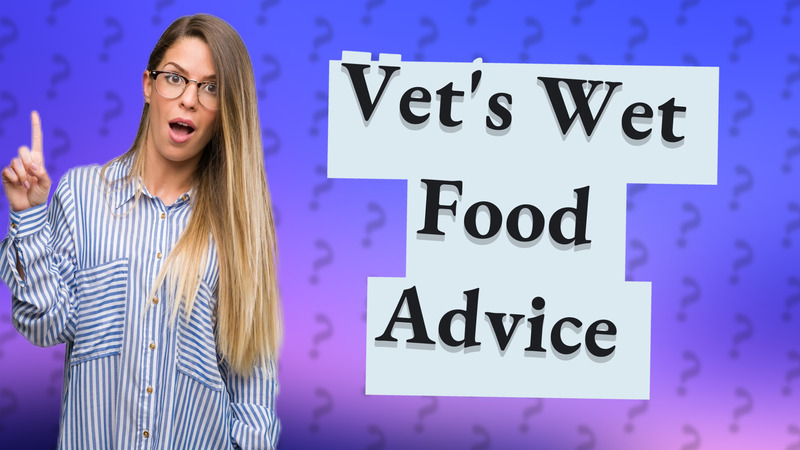 Vet's Wet Food Advice