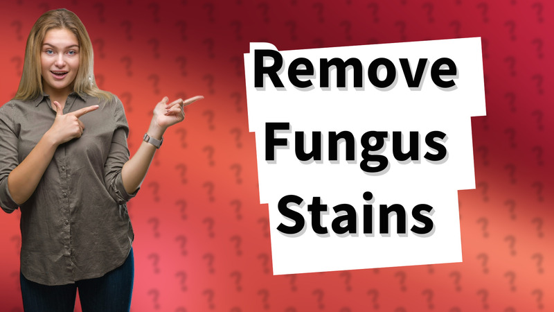 Remove Fungus Stains