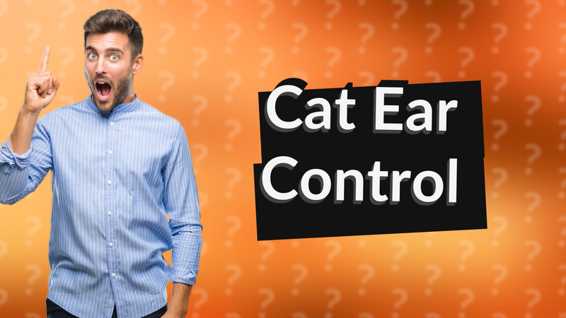 Cat Ear Control