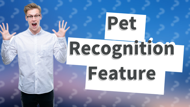 Pet Recognition Feature