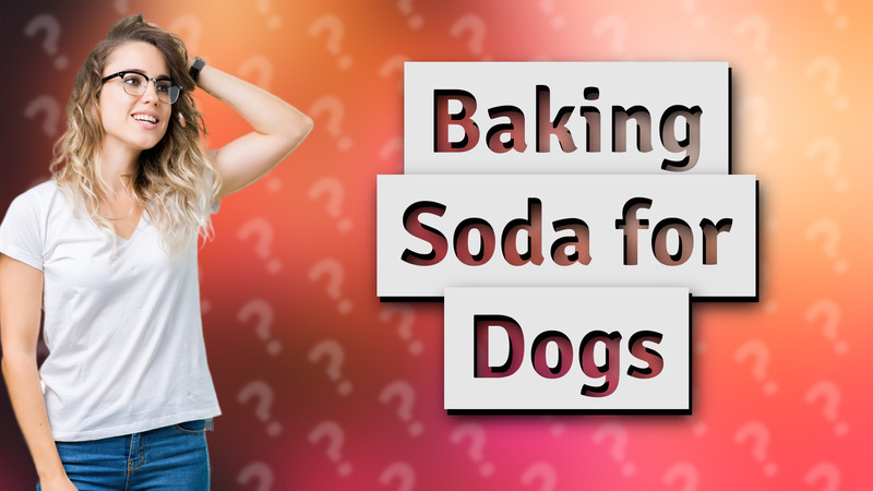 Baking Soda for Dogs