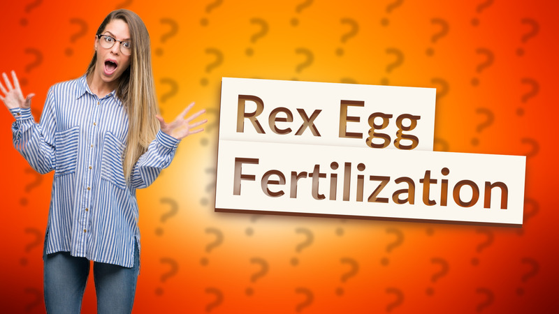 Rex Egg Fertilization