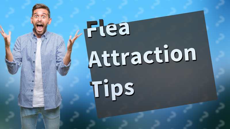 Flea Attraction Tips