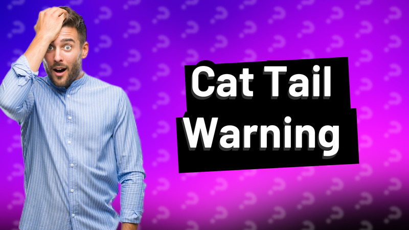 Cat Tail Warning