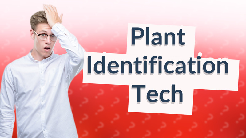 Plant Identification Tech