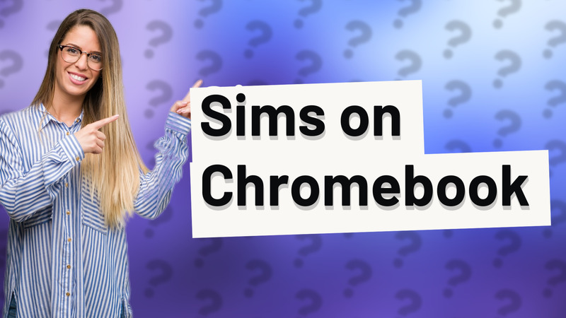 Sims on Chromebook