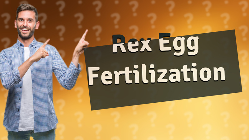 Rex Egg Fertilization