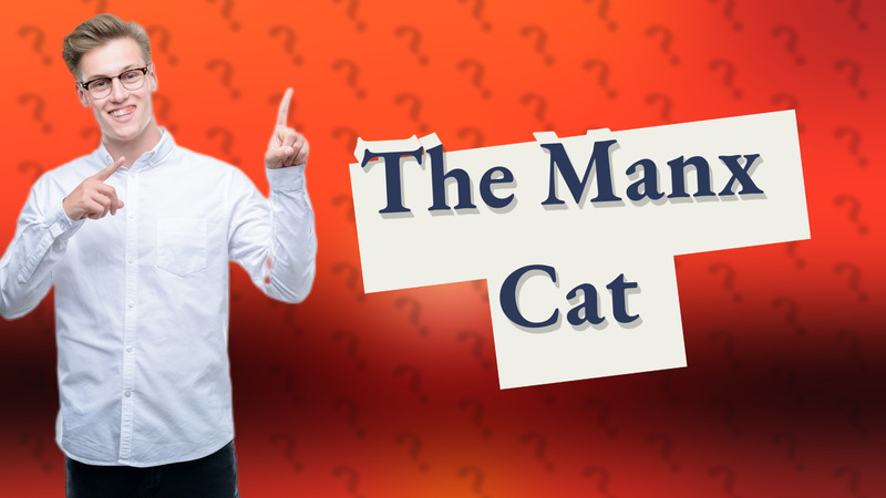 The Manx Cat
