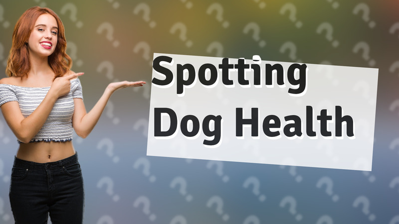 Spotting Dog Health