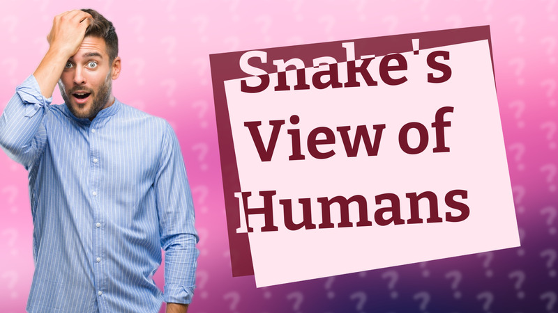 Snake's View of Humans