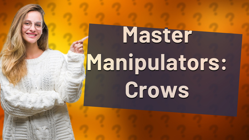 Master Manipulators: Crows