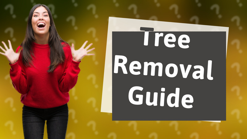 Tree Removal Guide