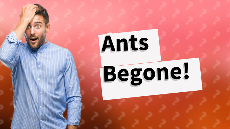 Ants Begone!