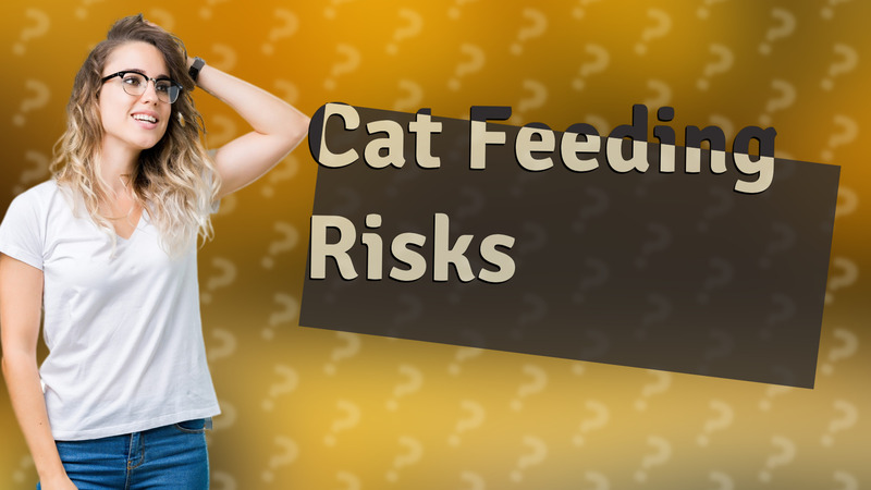 Cat Feeding Risks