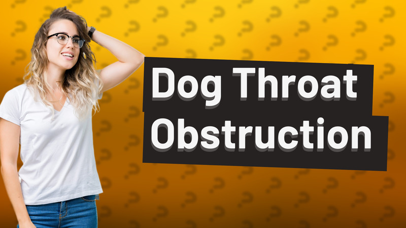 Dog Throat Obstruction