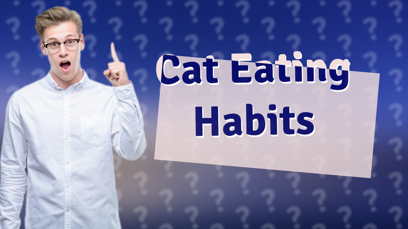 Cat Eating Habits