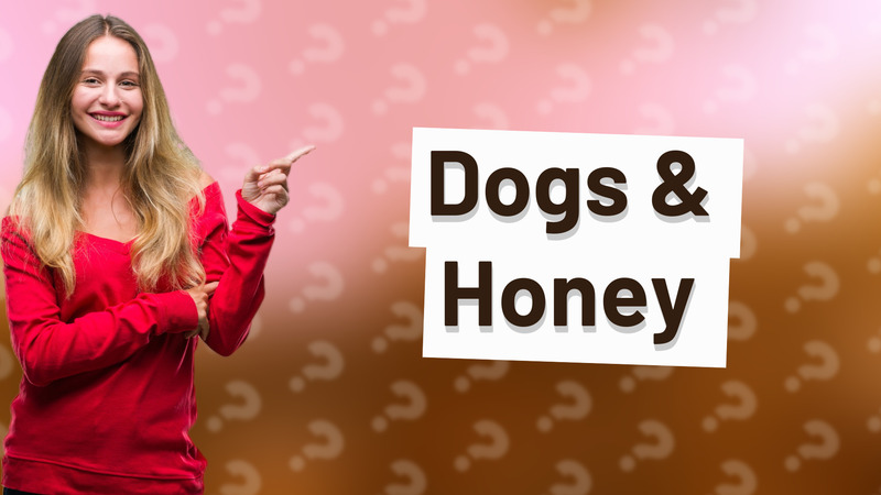 Dogs & Honey