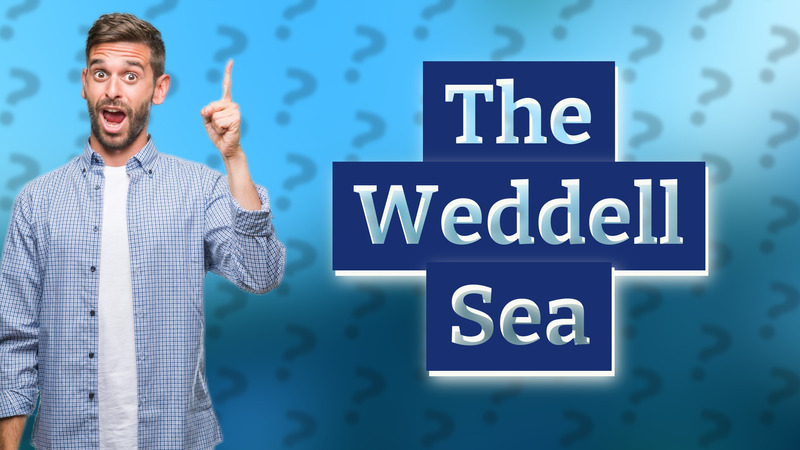 The Weddell Sea