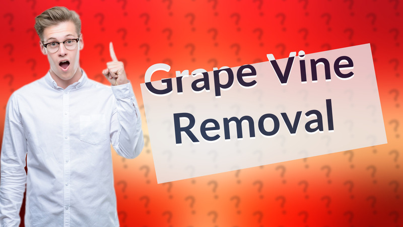 Grape Vine Removal