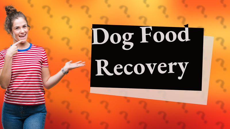 Dog Food Recovery