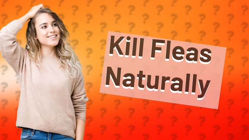 Kill Fleas Naturally