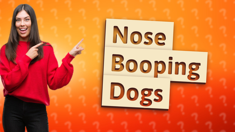 Nose Booping Dogs
