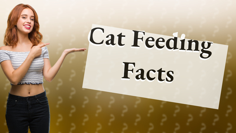 Cat Feeding Facts