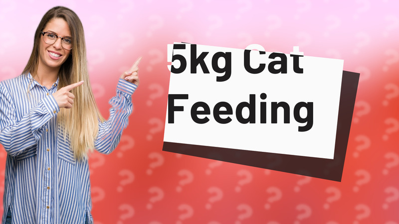 5kg Cat Feeding