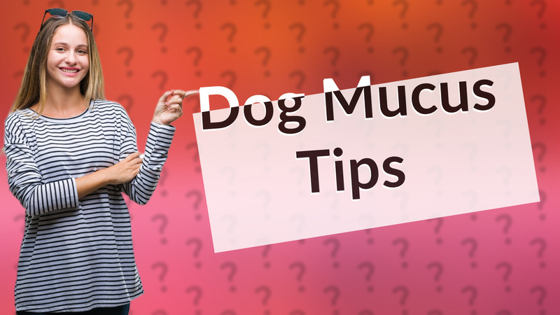 Dog Mucus Tips