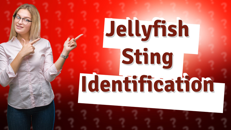 Jellyfish Sting Identification