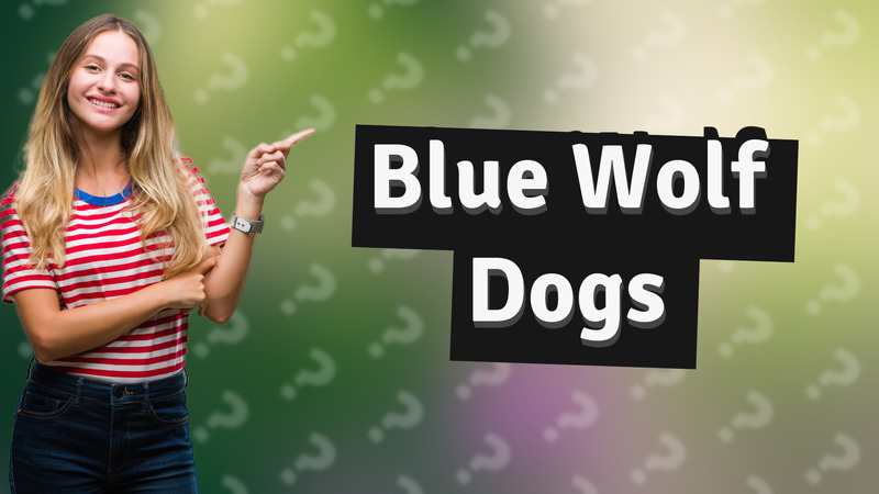 Blue Wolf Dogs