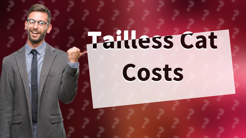 Tailless Cat Costs